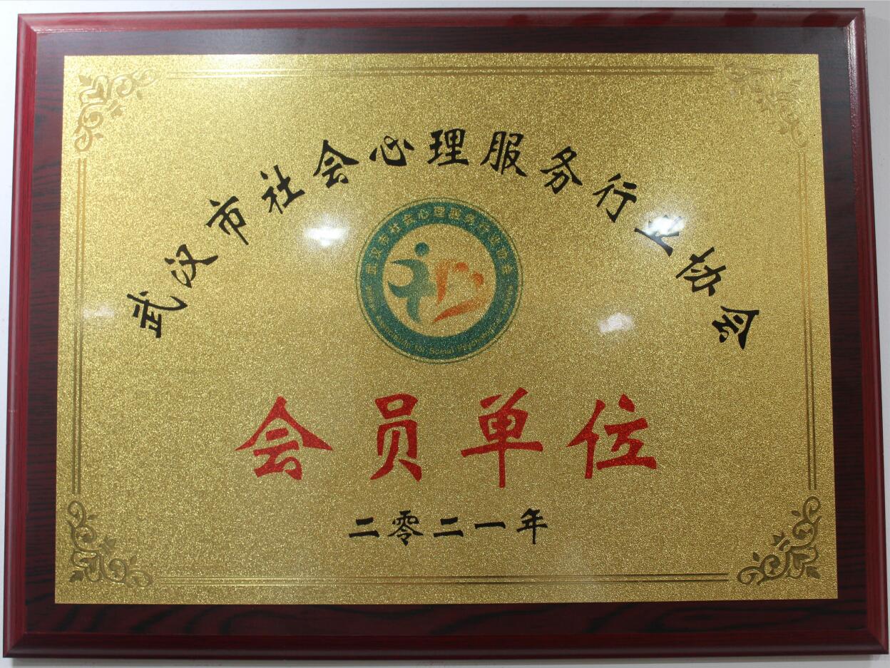 武漢市社會心理服務(wù)行業(yè)協(xié)會.jpg